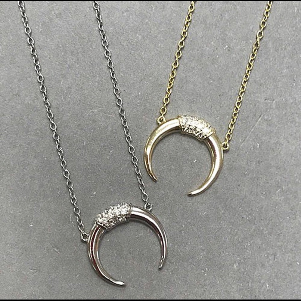 Dainty & Petite Long Horn Necklace,NWT
